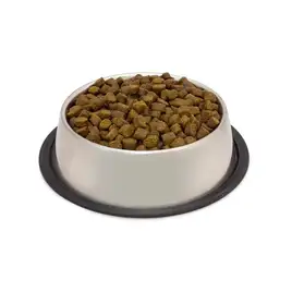 ARQUIVET FRESH PUPPY Indyk z łososiem 10 kg